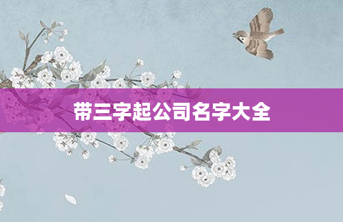带三字起公司名字大全