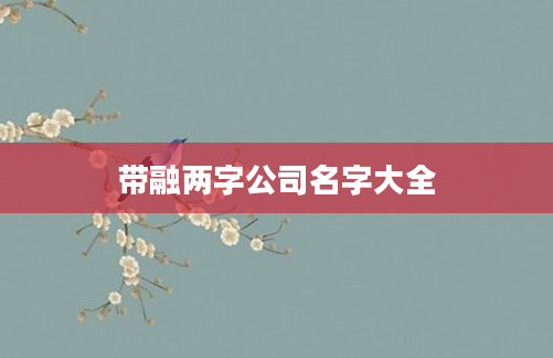 带融两字公司名字大全