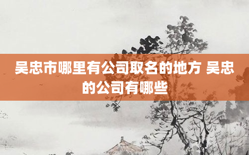 吴忠市哪里有公司取名的地方 吴忠的公司有哪些