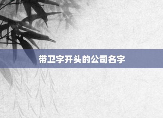 带卫字开头的公司名字