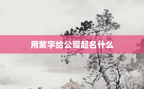 用紫字给公司起名什么