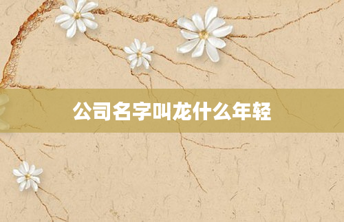公司名字叫龙什么年轻