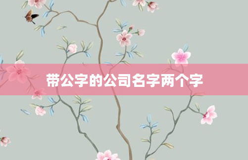 带公字的公司名字两个字