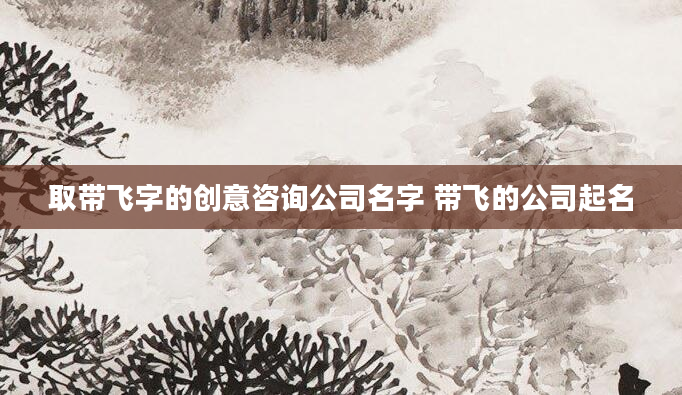 取带飞字的创意咨询公司名字 带飞的公司起名