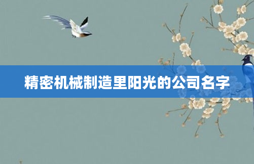 精密机械制造里阳光的公司名字