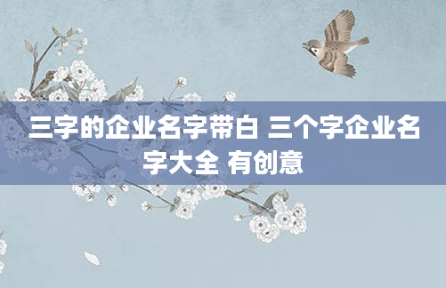 三字的企业名字带白 三个字企业名字大全 有创意