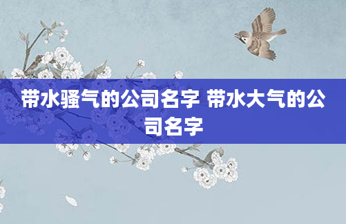 带水骚气的公司名字 带水大气的公司名字