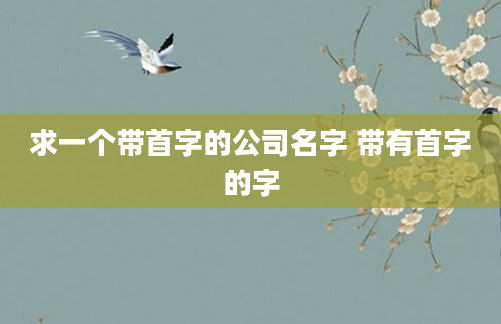 求一个带首字的公司名字 带有首字的字
