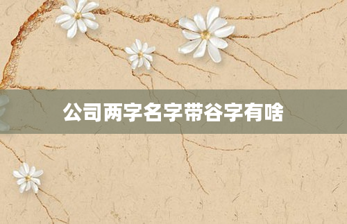 公司两字名字带谷字有啥