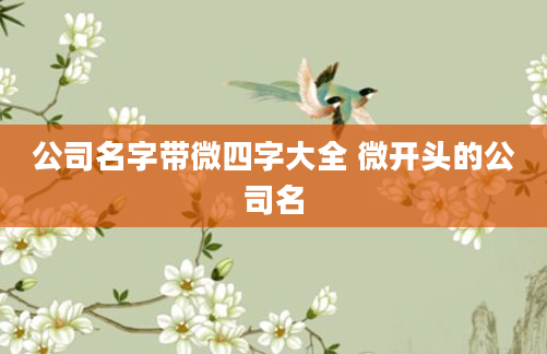 公司名字带微四字大全 微开头的公司名