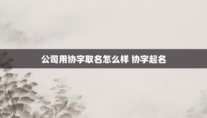 公司用协字取名怎么样 协字起名