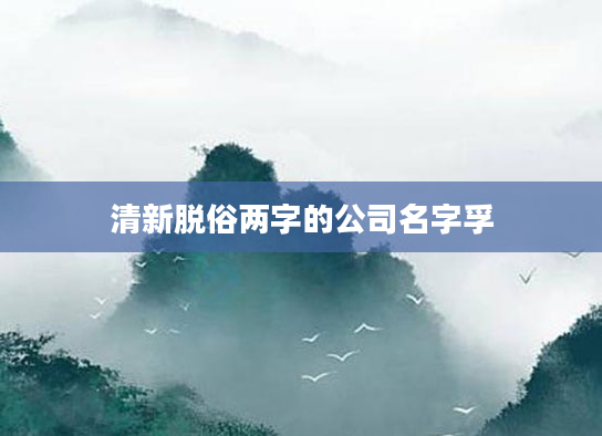 清新脱俗两字的公司名字孚