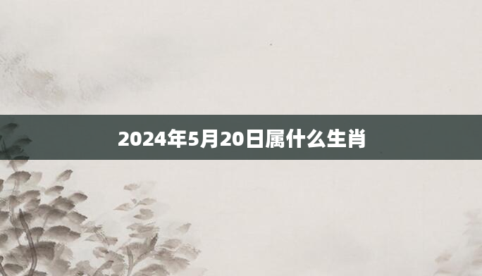 2024年5月20日属什么生肖