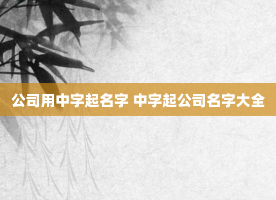 公司用中字起名字 中字起公司名字大全