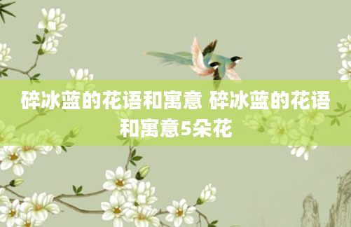 碎冰蓝的花语和寓意 碎冰蓝的花语和寓意5朵花