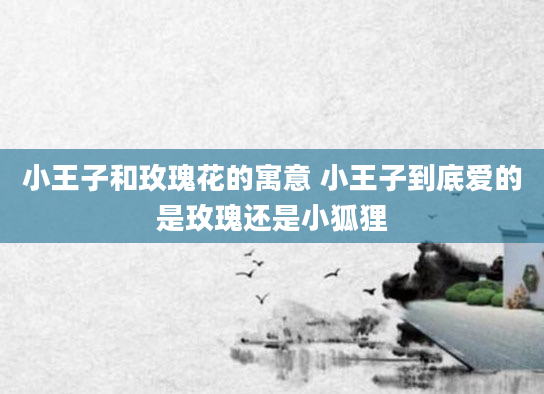 小王子和玫瑰花的寓意 小王子到底爱的是玫瑰还是小狐狸