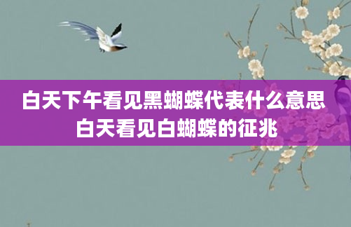 白天下午看见黑蝴蝶代表什么意思 白天看见白蝴蝶的征兆