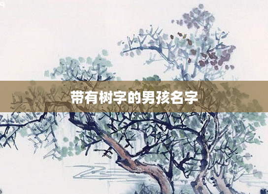 带有树字的男孩名字