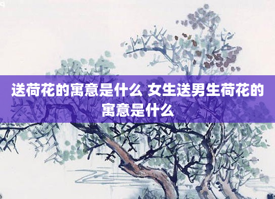 送荷花的寓意是什么 女生送男生荷花的寓意是什么
