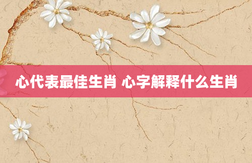 心代表最佳生肖 心字解释什么生肖
