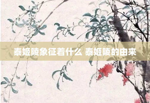 泰姬陵象征着什么 泰姬陵的由来