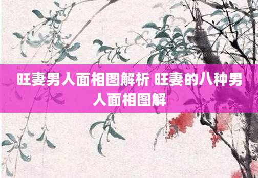 旺妻男人面相图解析 旺妻的八种男人面相图解