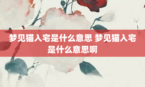 梦见猫入宅是什么意思 梦见猫入宅是什么意思啊
