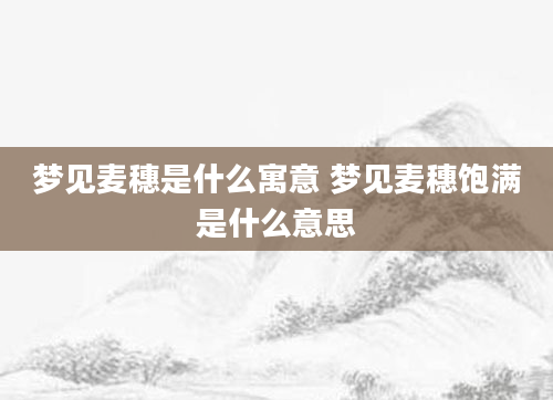梦见麦穗是什么寓意 梦见麦穗饱满是什么意思
