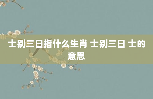 士别三日指什么生肖 士别三日 士的意思