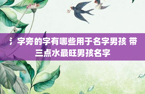 氵字旁的字有哪些用于名字男孩 带三点水最旺男孩名字