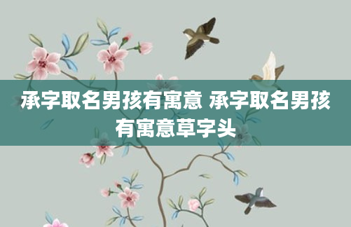 承字取名男孩有寓意 承字取名男孩有寓意草字头