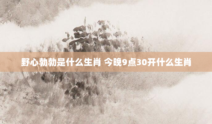 野心勃勃是什么生肖 今晚9点30开什么生肖