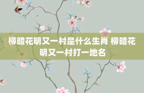柳暗花明又一村是什么生肖 柳暗花明又一村打一地名