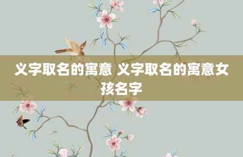 义字取名的寓意 义字取名的寓意女孩名字
