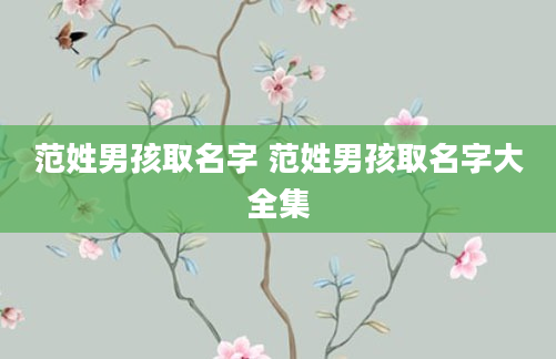 范姓男孩取名字 范姓男孩取名字大全集