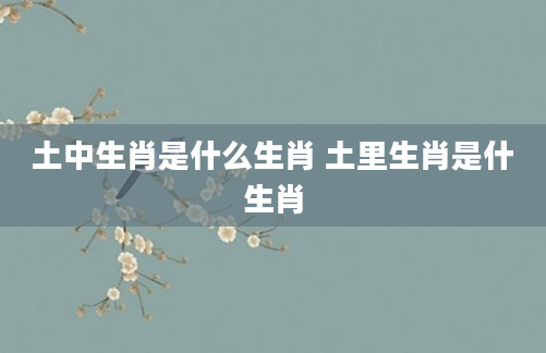 土中生肖是什么生肖 土里生肖是什生肖