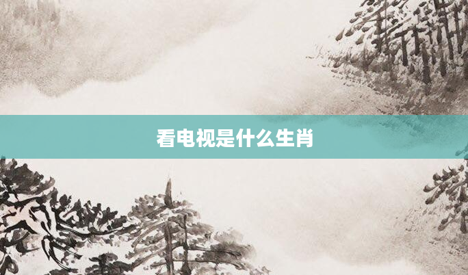 看电视是什么生肖
