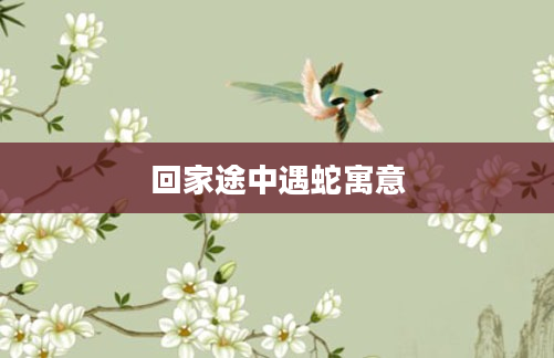 回家途中遇蛇寓意