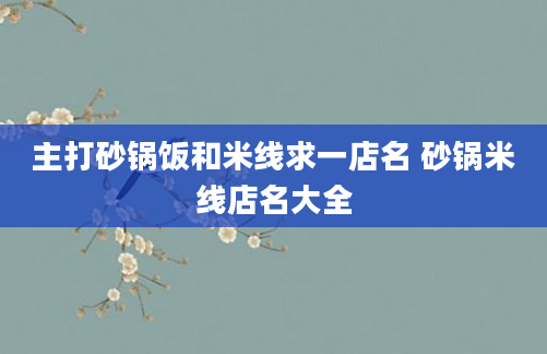主打砂锅饭和米线求一店名 砂锅米线店名大全