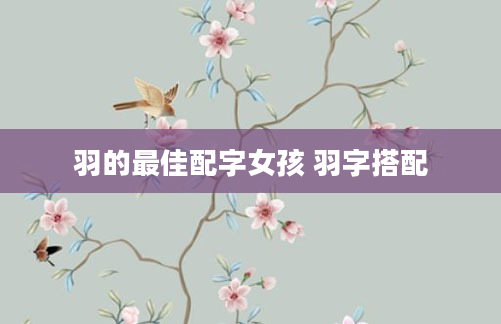 羽的最佳配字女孩 羽字搭配