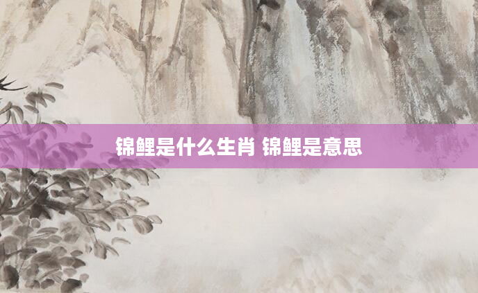 锦鲤是什么生肖 锦鲤是意思