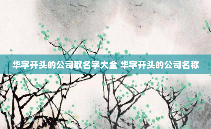 华字开头的公司取名字大全 华字开头的公司名称
