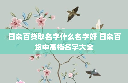 日杂百货取名字什么名字好 日杂百货中高档名字大全