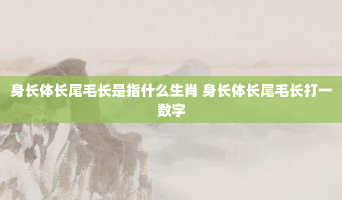 身长体长尾毛长是指什么生肖 身长体长尾毛长打一数字