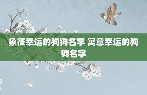 象征幸运的狗狗名字 寓意幸运的狗狗名字