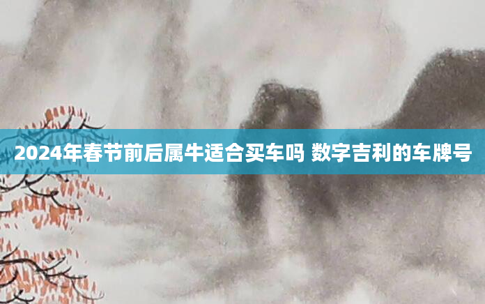2024年春节前后属牛适合买车吗 数字吉利的车牌号