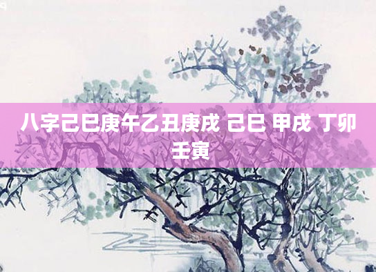 八字己巳庚午乙丑庚戌 己巳 甲戌 丁卯 壬寅