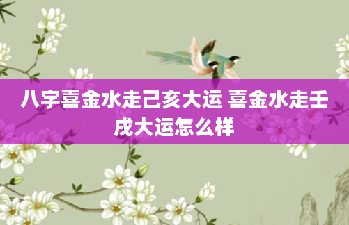 八字喜金水走己亥大运 喜金水走壬戌大运怎么样