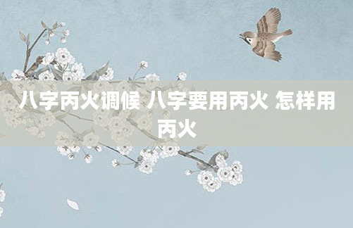 八字丙火调候 八字要用丙火 怎样用丙火