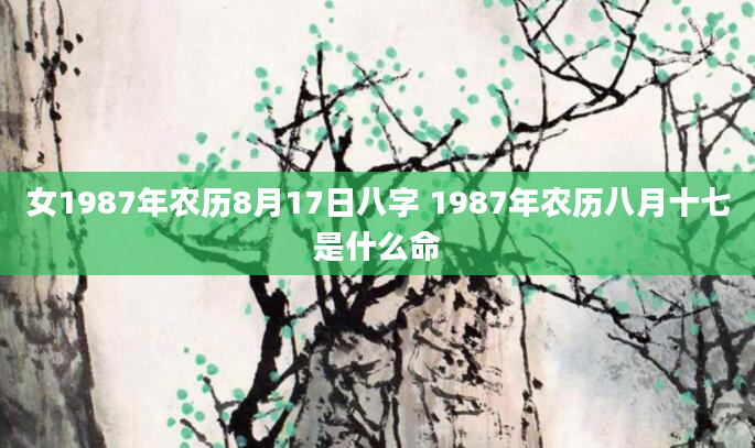 女1987年农历8月17日八字 1987年农历八月十七是什么命